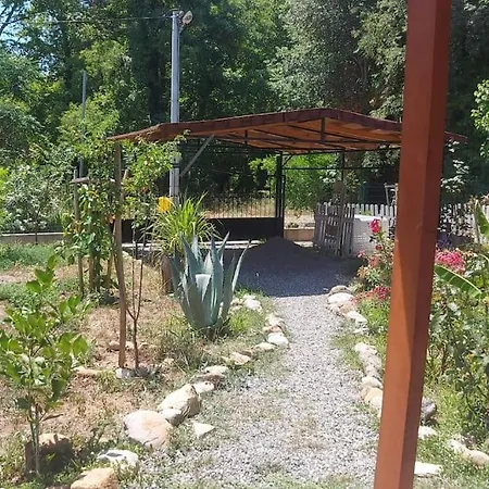 Дом отдыха Yuvarlak Cay Yaninda Huzur Ve Doga Evi Beyobasi